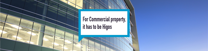 Higos business insurance commercial property