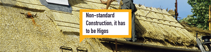 Higos non standard property man thatching a house