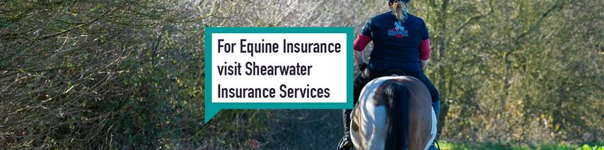 Equine Speech Bubble Banner